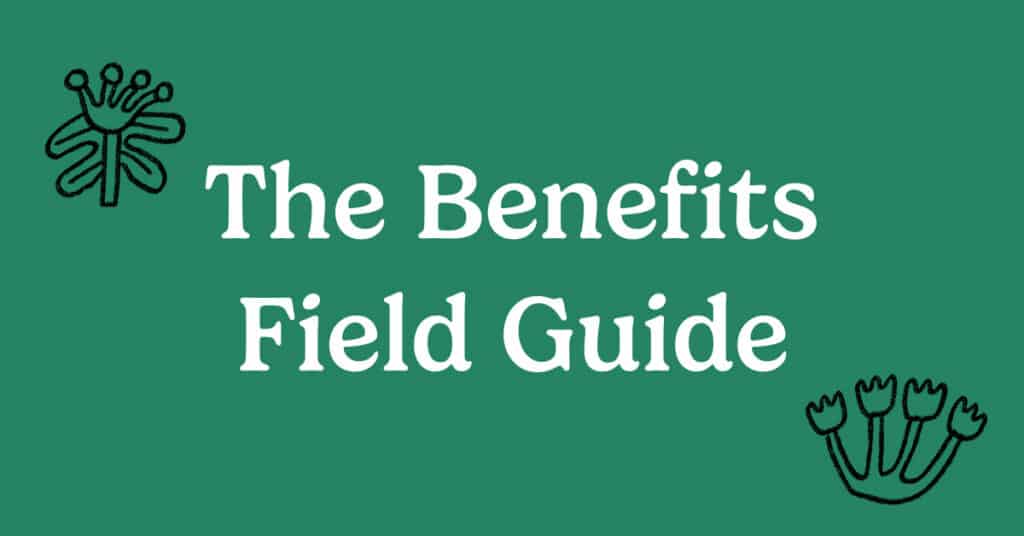 White text on a green background reads “The Benefits Field Guide, with simple black line drawings of abstract flowers in the top left and bottom right corners.