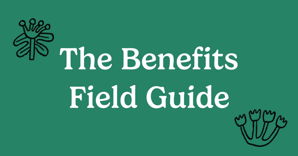 White text on a green background reads “The Benefits Field Guide, with simple black line drawings of abstract flowers in the top left and bottom right corners.